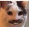 giveupnick